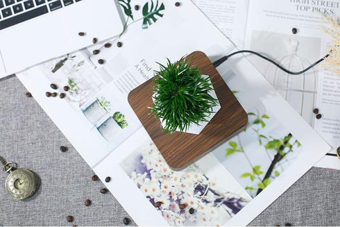 LevPot™ 2 - Levitating Mini Bonsai Pot